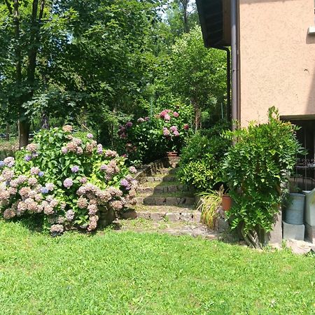 L'Angolino Di Magda: On The Lake-Private Beach! Ghirla Exterior photo